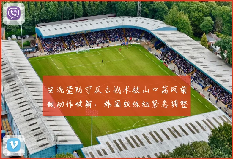 安洗莹防守反击战术被山口茜网前假动作破解，韩国教练组紧急调整训练方案